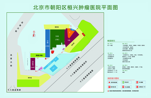 免费尻逼网址北京市朝阳区桓兴肿瘤医院平面图